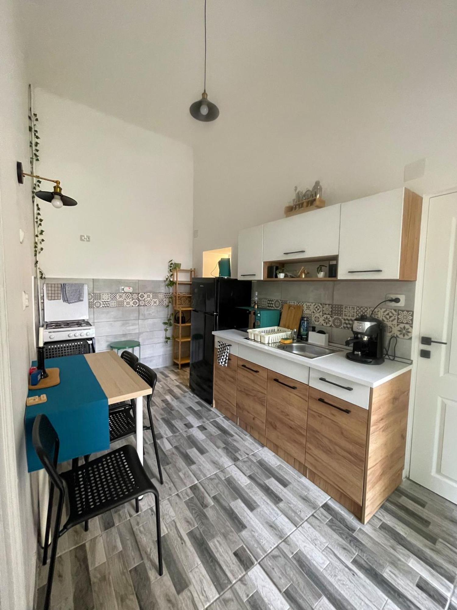 Small Apartment - Historic House كلوج-نابوكا المظهر الخارجي الصورة